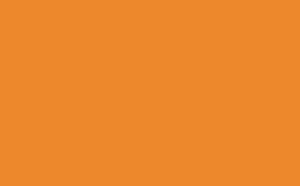 Einlegeblatt Premium orange