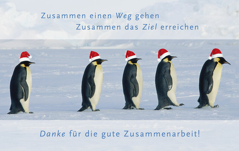 Pinguinmarsch